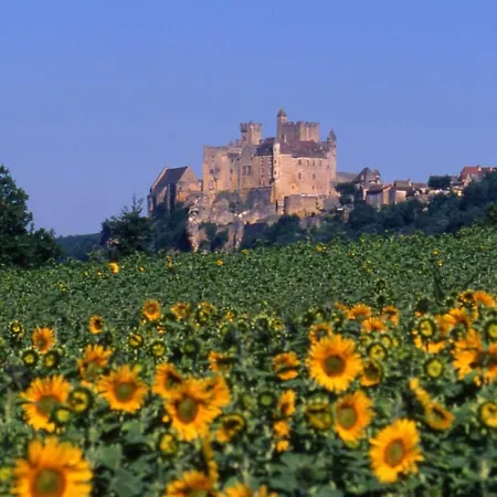 De Charme, Sarlat-la-caneda, Jardin * סרלה-לה קנדה