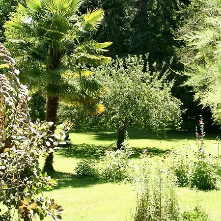 וילה De Charme, Sarlat-la-caneda, Jardin