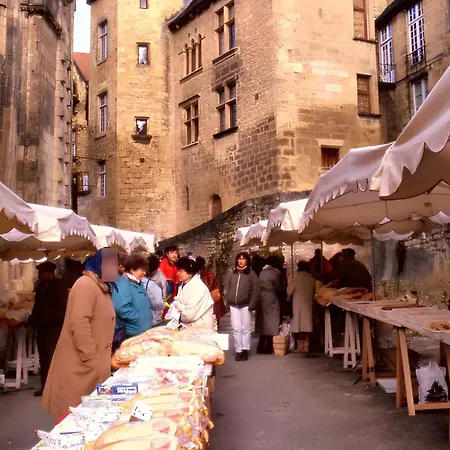 וילה De Charme, Sarlat-la-caneda, Jardin *