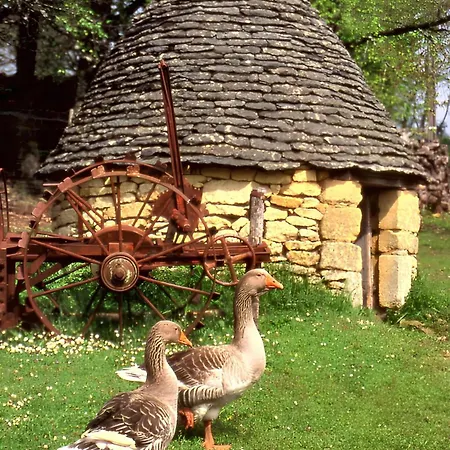 וילה De Charme, Sarlat-la-caneda, Jardin