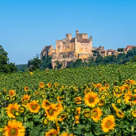 De Charme, Sarlat-la-caneda, Jardin *