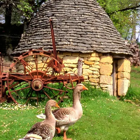 De Charme, Sarlat-la-caneda, Jardin