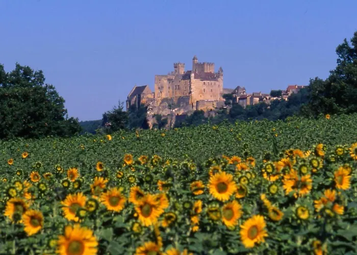 De Charme, Sarlat-la-canéda, Jardin * Sarlat