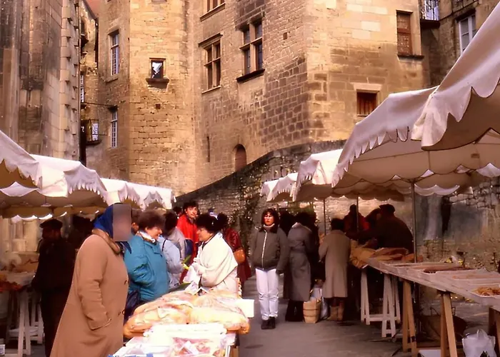 Villa De Charme, Sarlat-la-canéda, Jardin *
