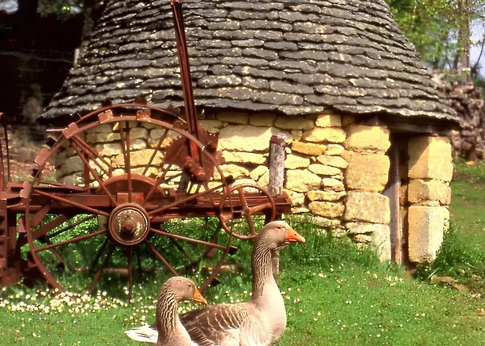 Villa De Charme, Sarlat-la-canéda, Jardin